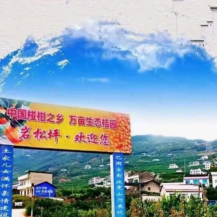 清江椪柑，产地直销