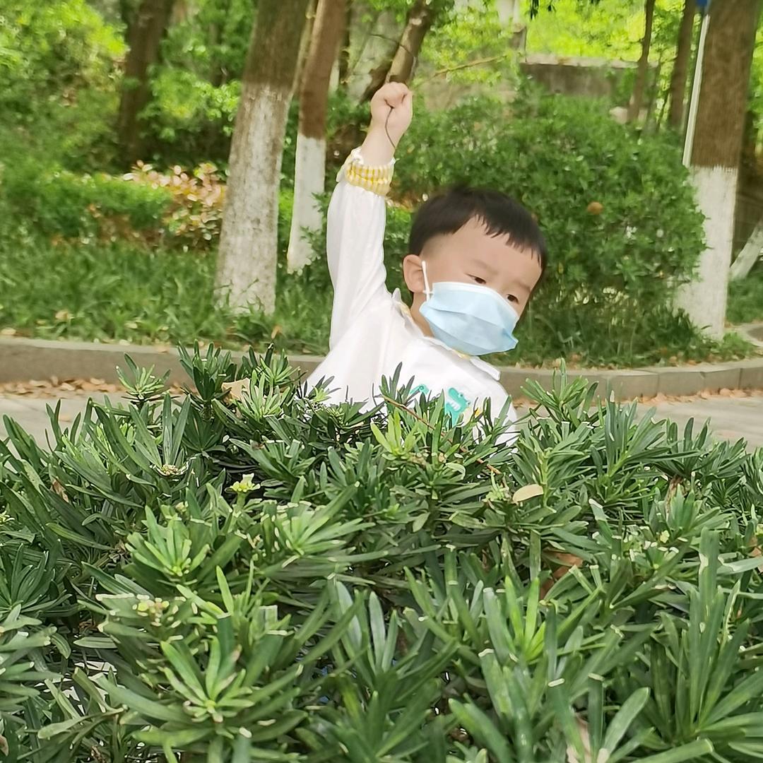 无法续写的人生