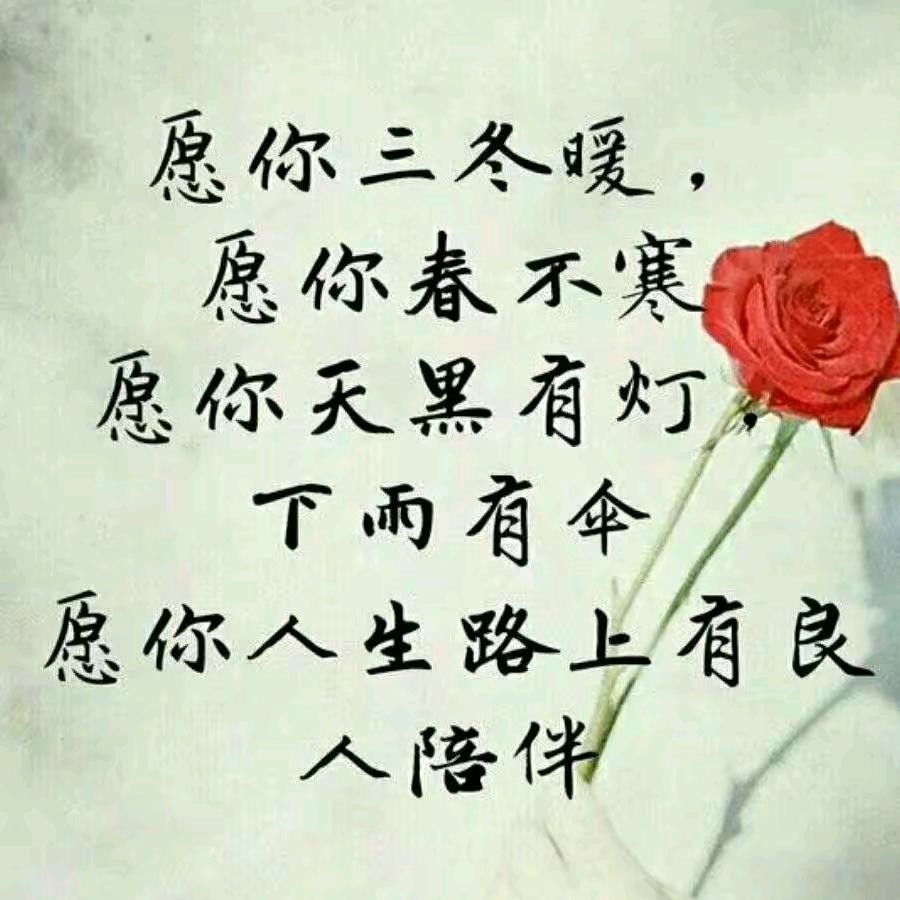 谁懂我心！！！