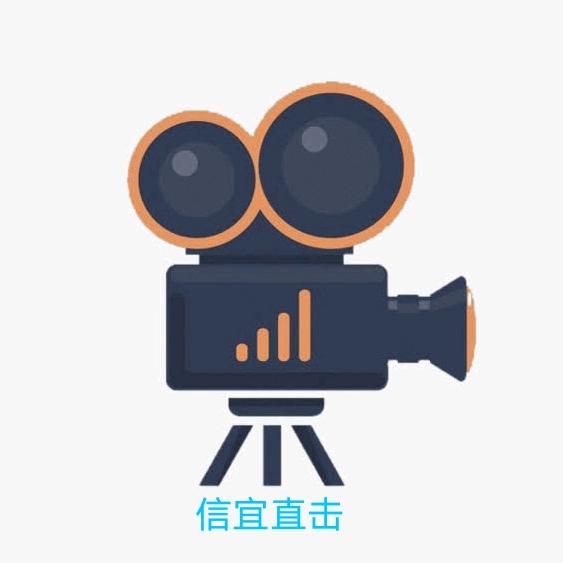 信宜直击