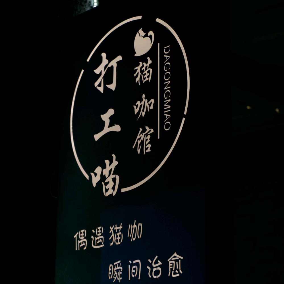 一个爱养猫的闲人