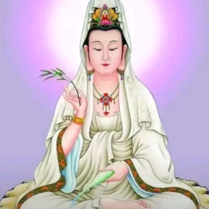 鳄鱼的眼泪