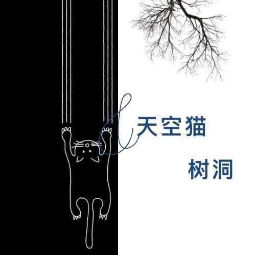 小木网络