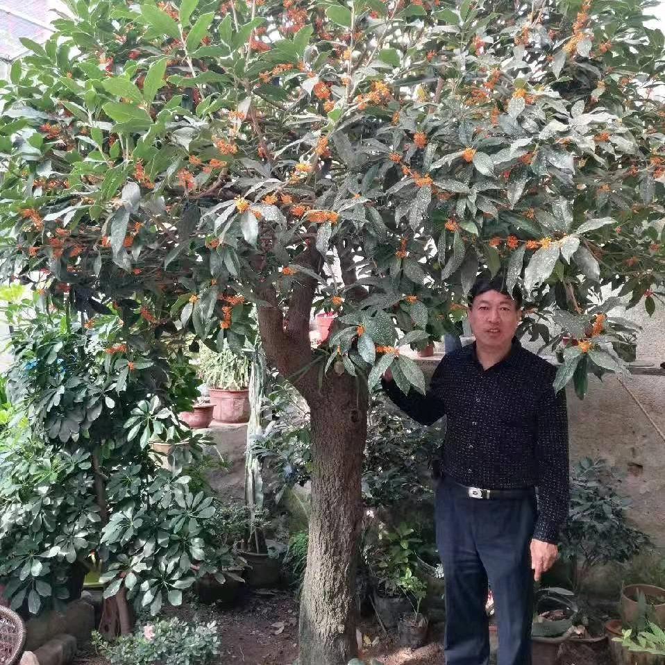 爱我中华