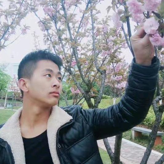 小杨哥☞户外搞蜂 ☜