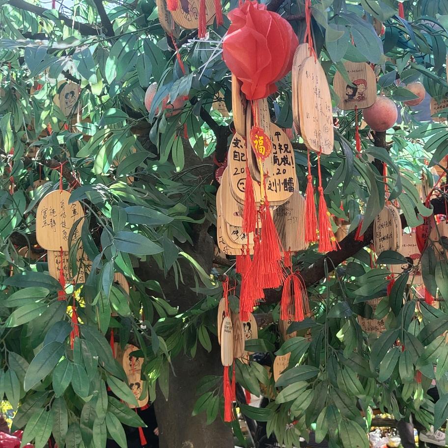 李瑶瑶