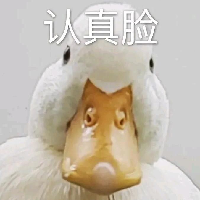 圆圆背景图