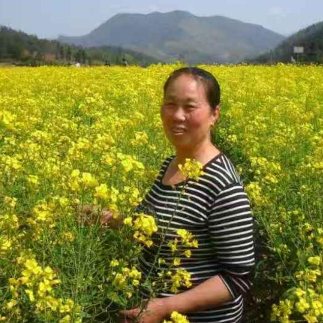 吴屯毛豆腐西施