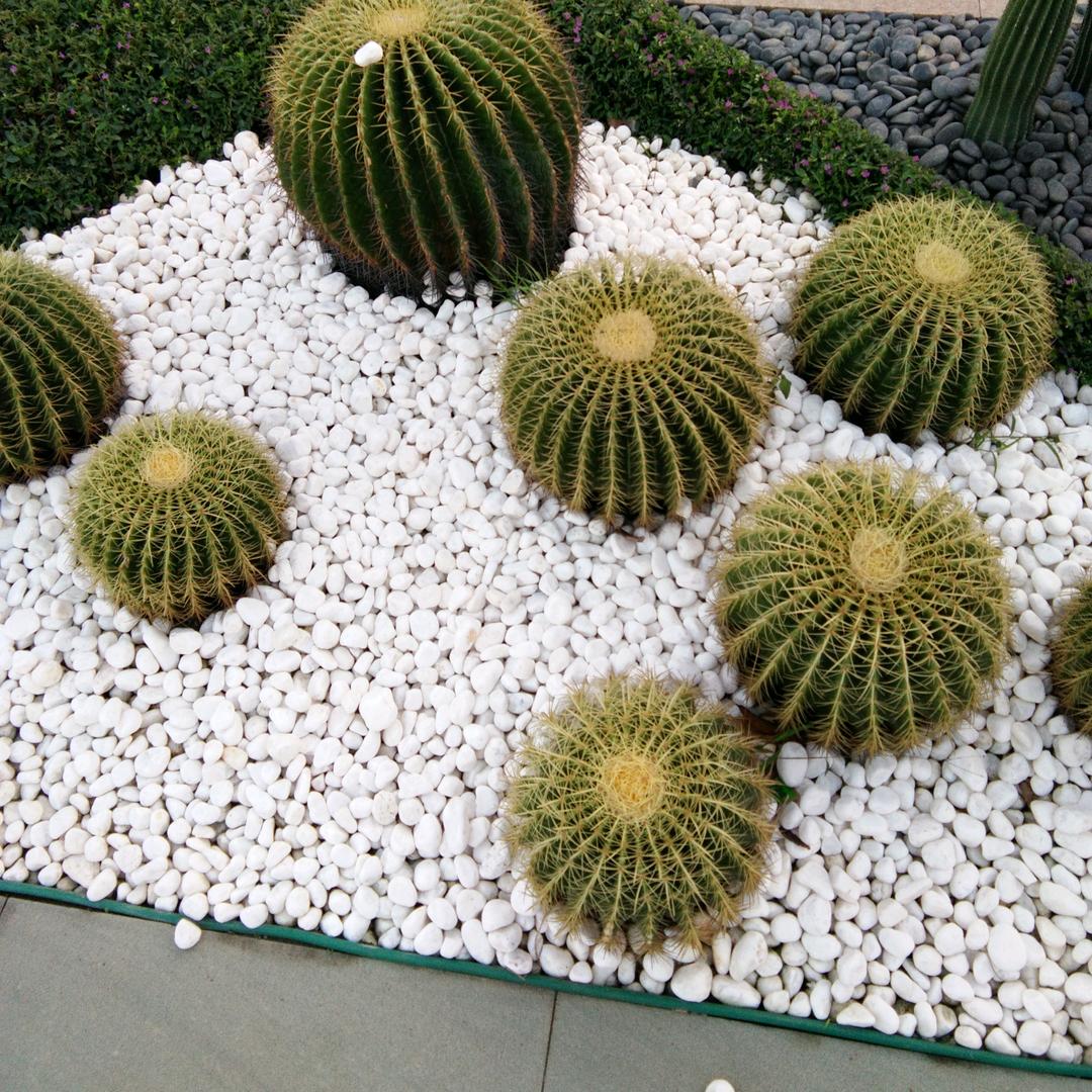 超越自我