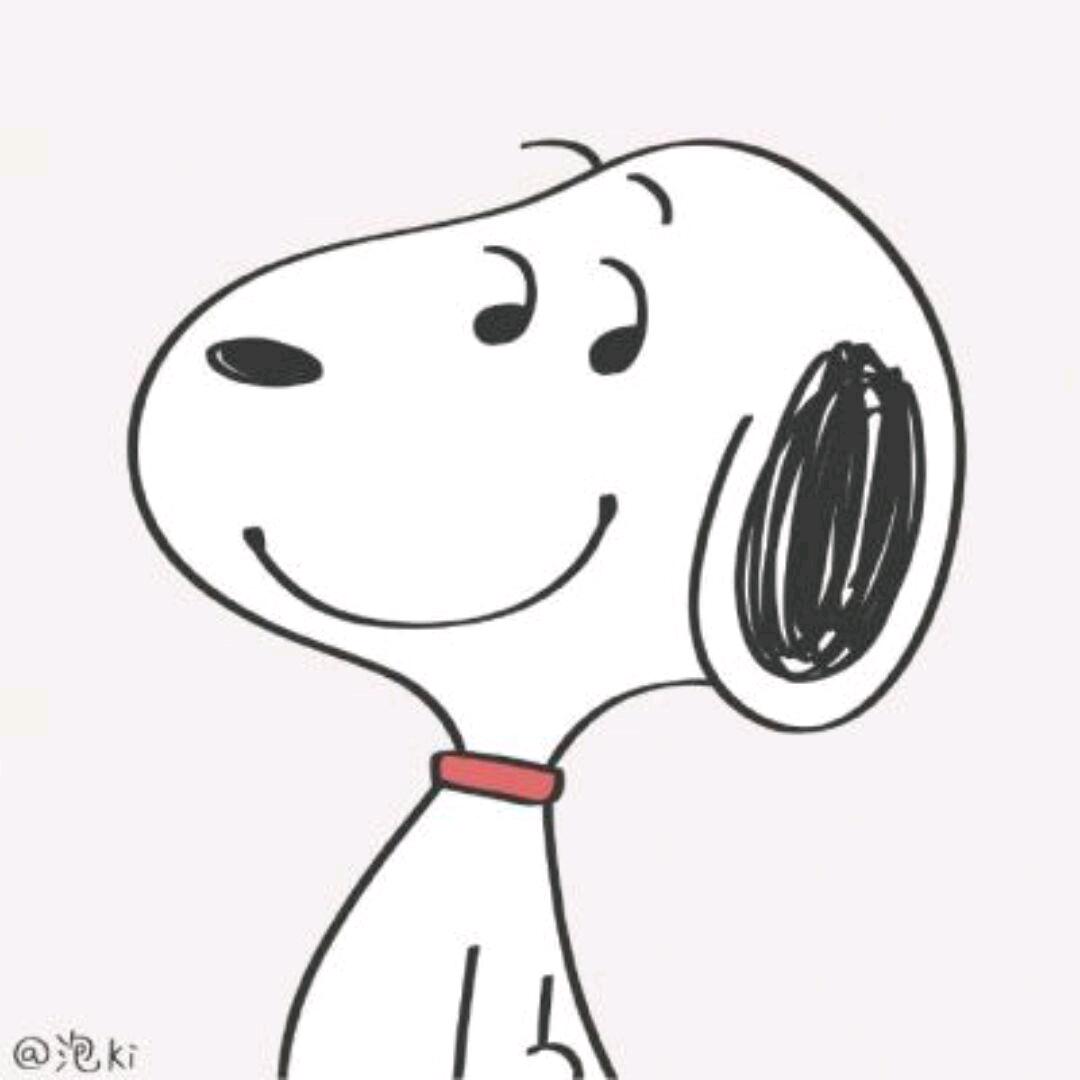 只吃土豆不吃肉