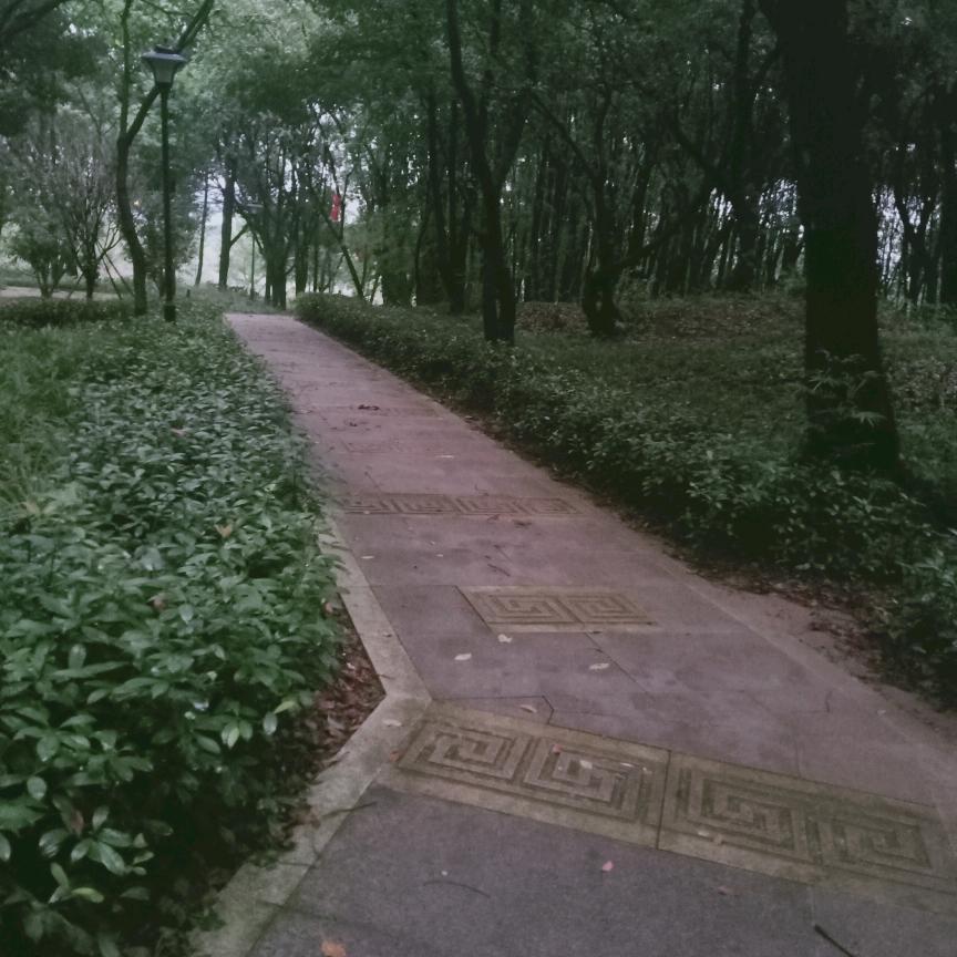清清河边草