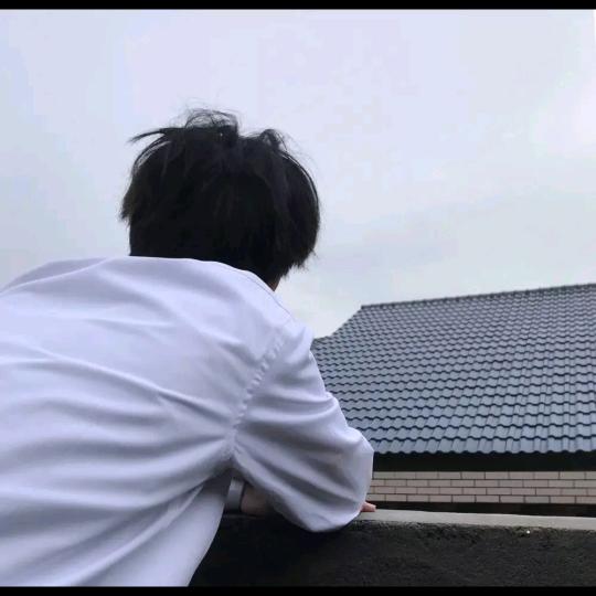 梨卫