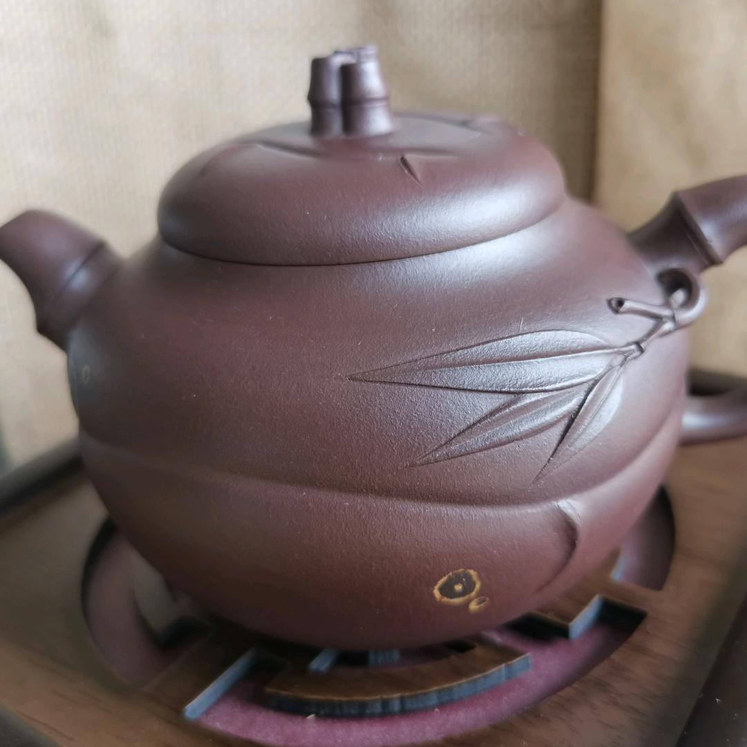飞不高的小鸟