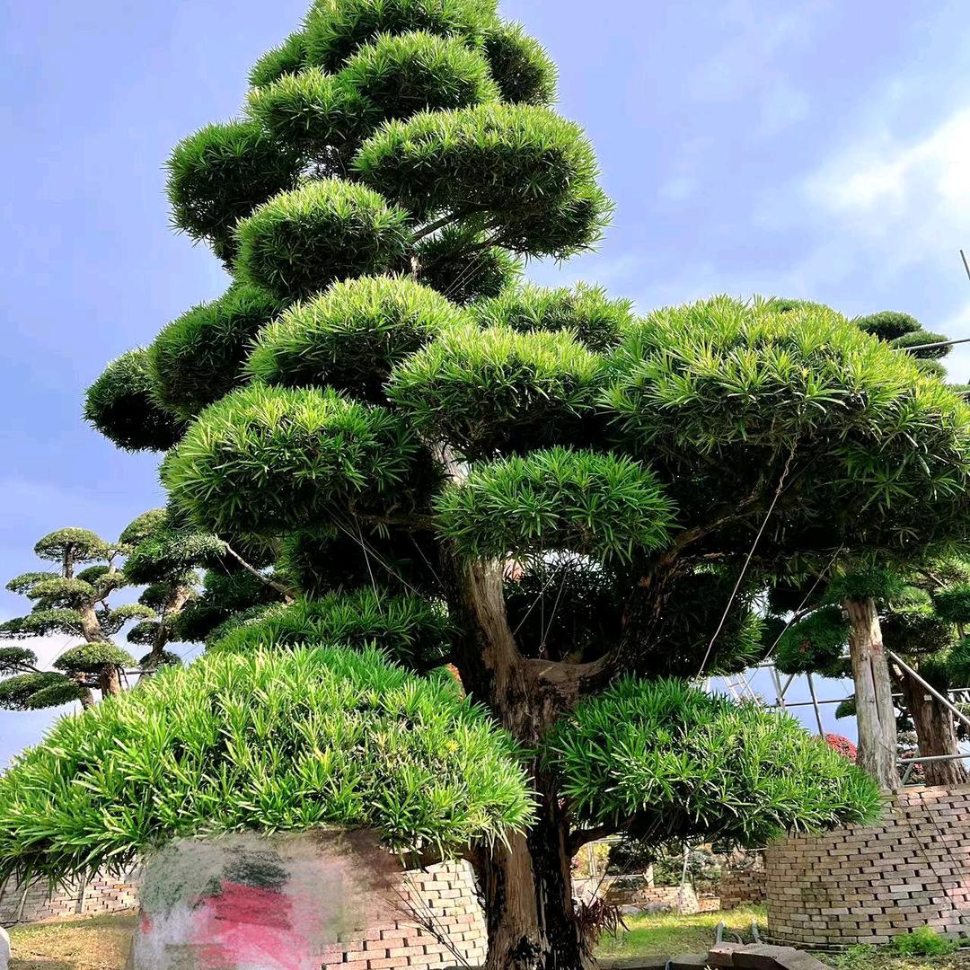 湖北宏盛园林景观工程有限公司