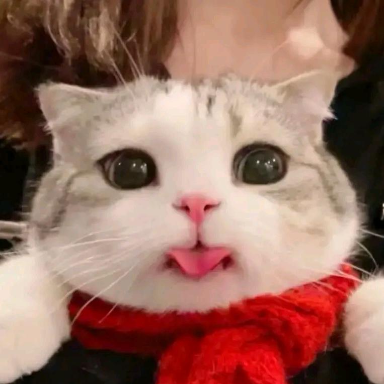 忧伤