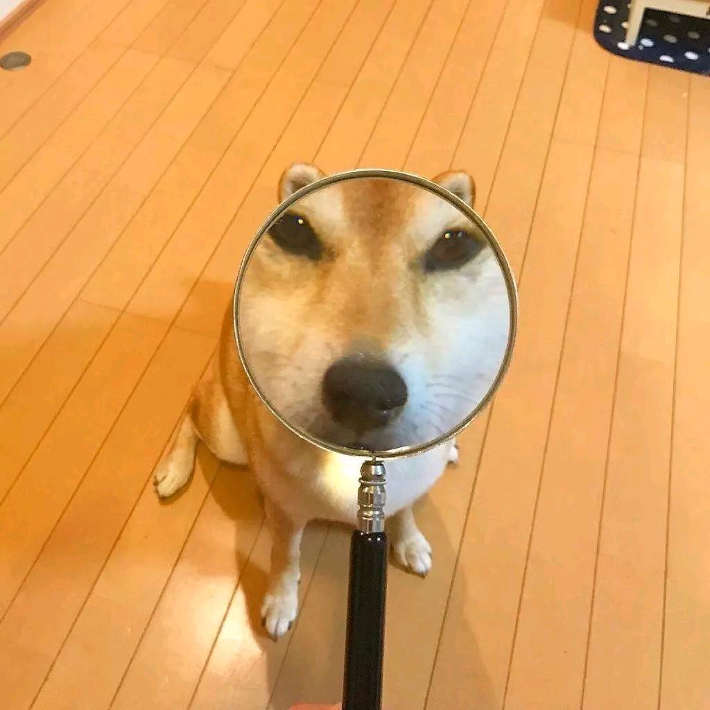 问到底啊