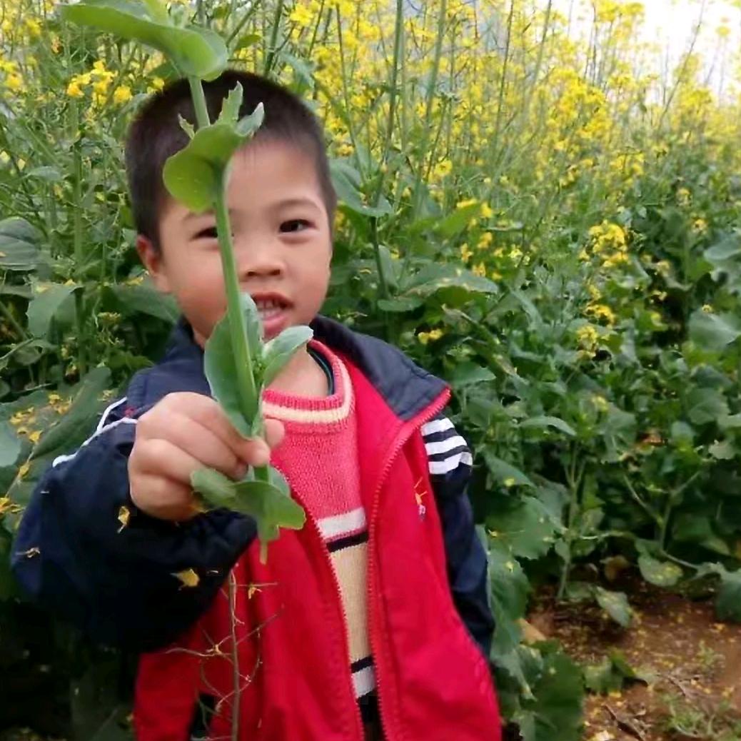 春暖花开