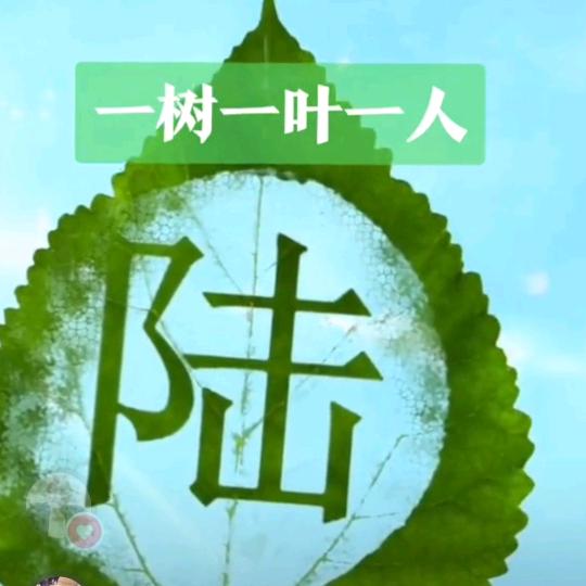 缘来缘去