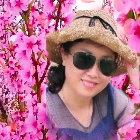 玫瑰🌹🌹🌹