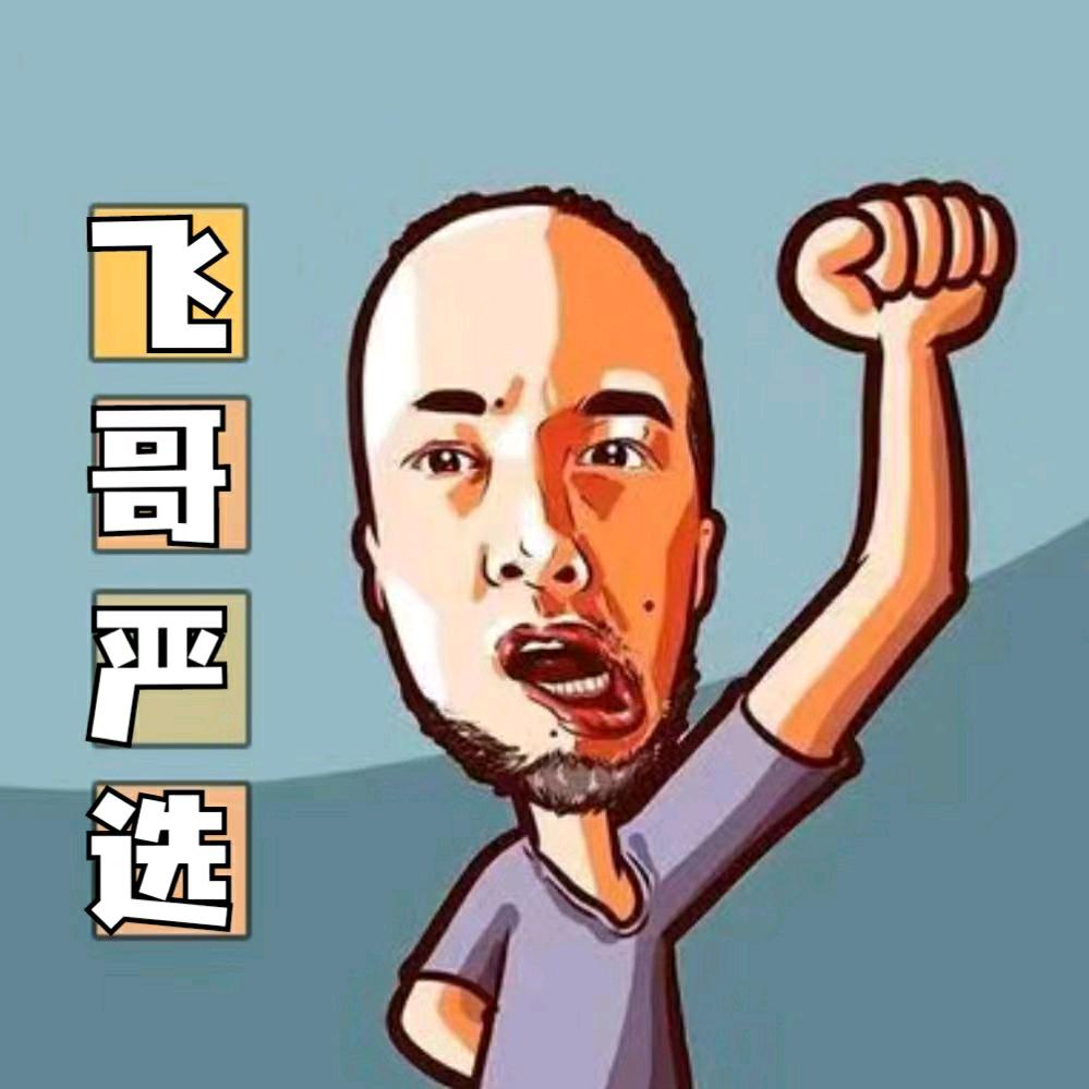 飞哥精选【零添加】