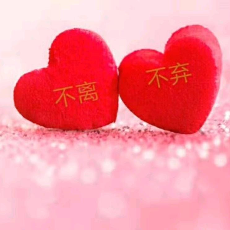 用户你是我心中的玫瑰