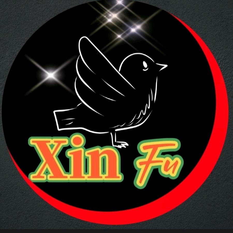鑫福军迷