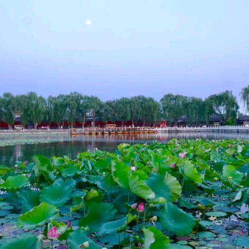 其实我很在乎你。