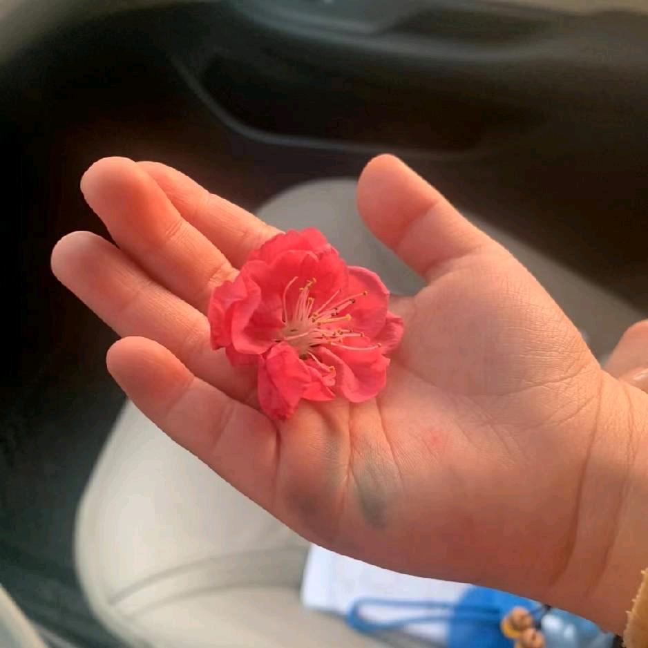 简简单单