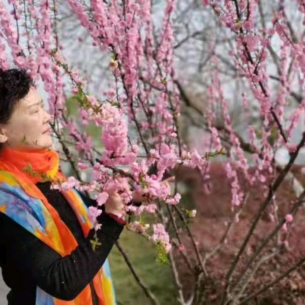 静心如意