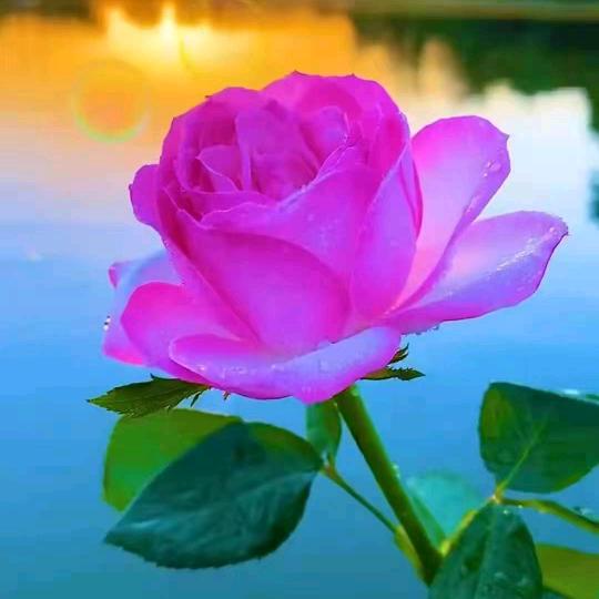 🍀ঞᩚ᭄幸运ꕥ້໌ᮨ相随