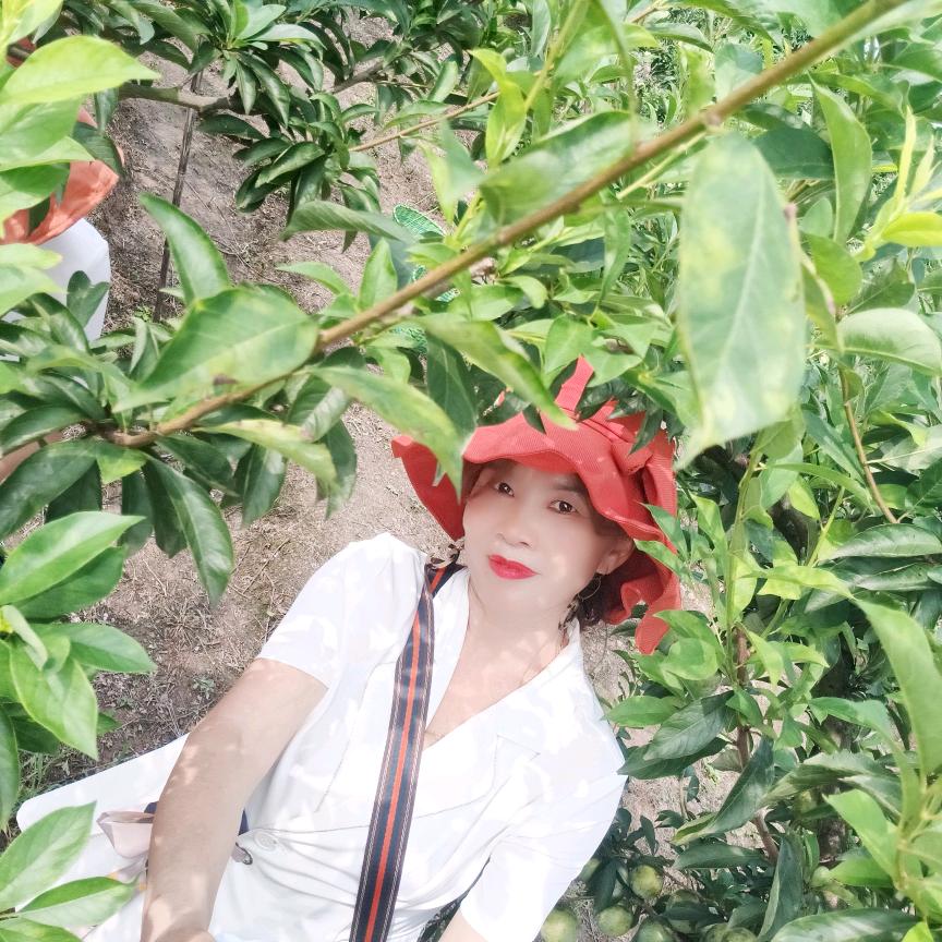发发发太平三三古队，