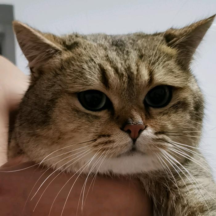 李李服装工厂店1