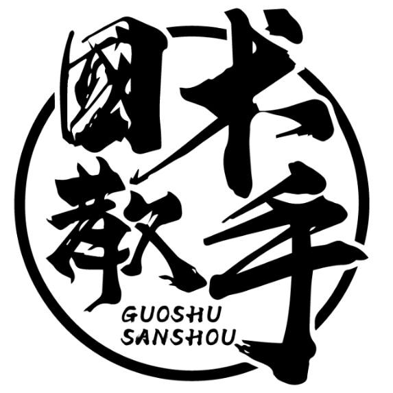 国术散手~俊霄
