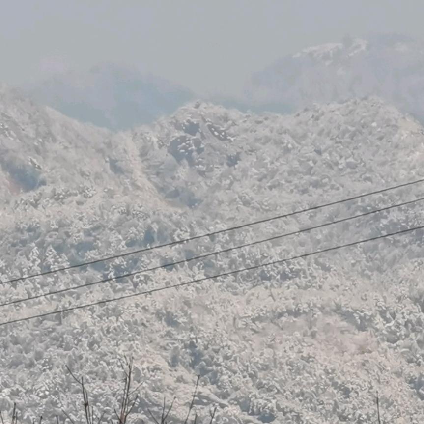 享受自由的人生