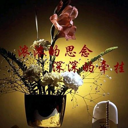 天壁✨