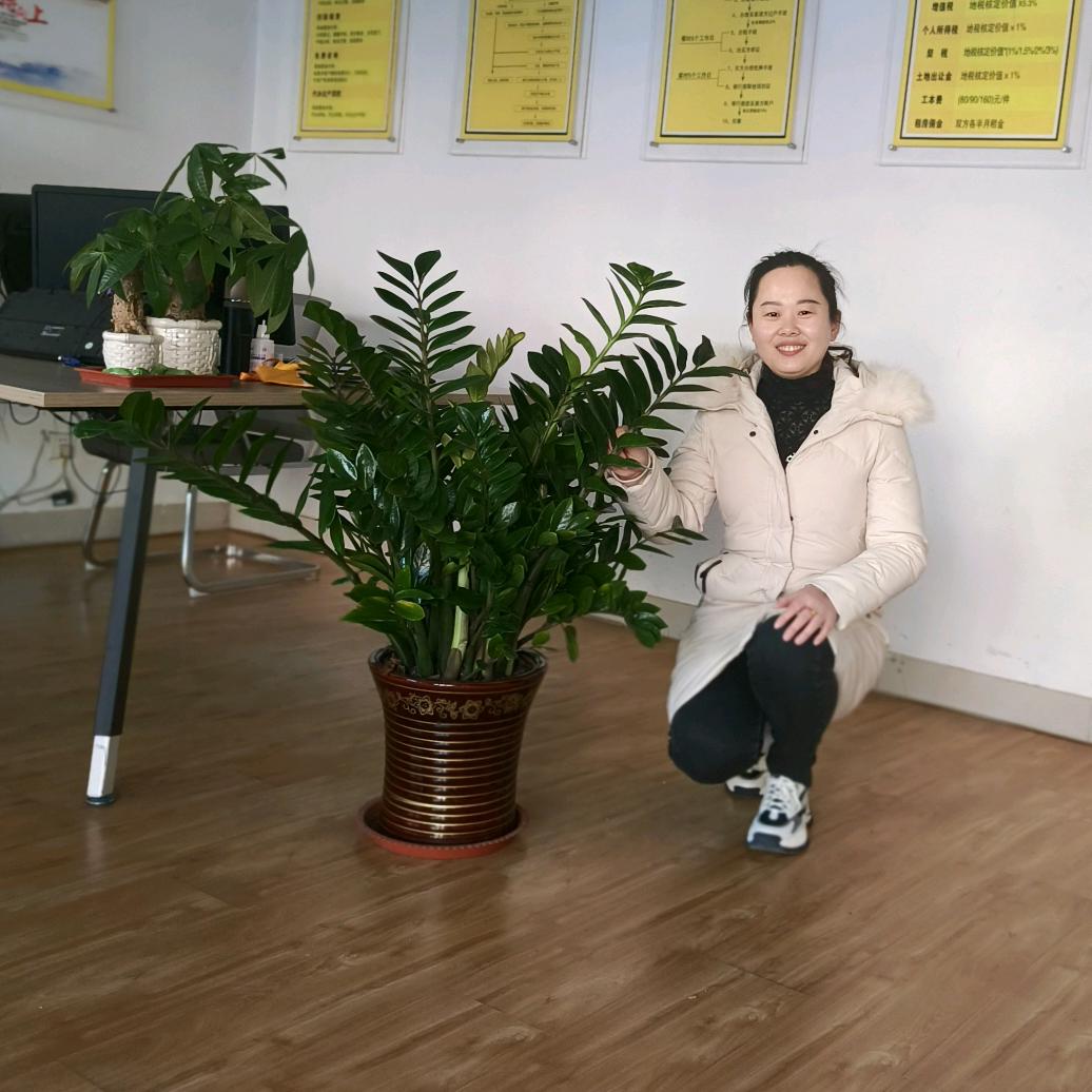 张亚男