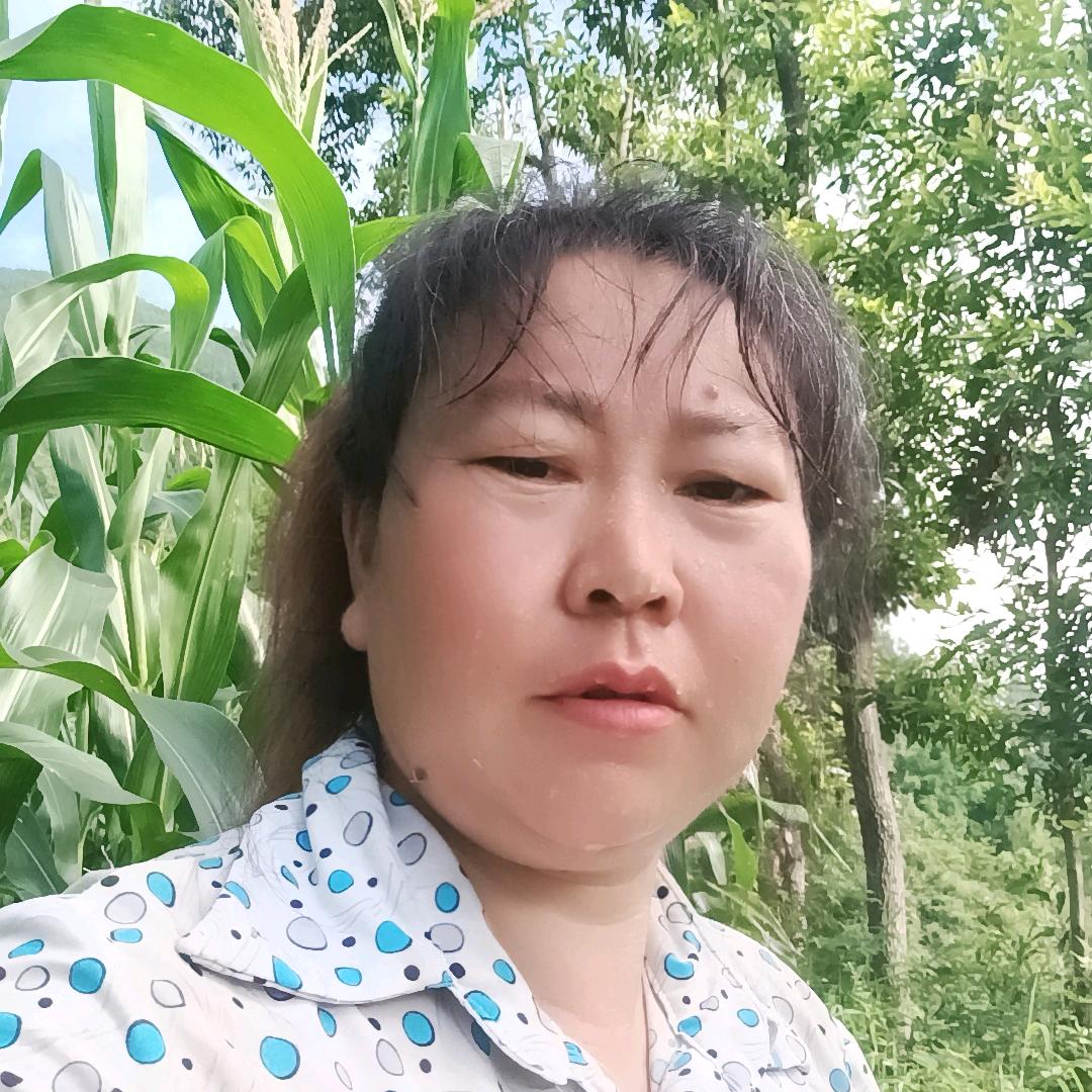 雨后彩虹（下午两点十分开播）