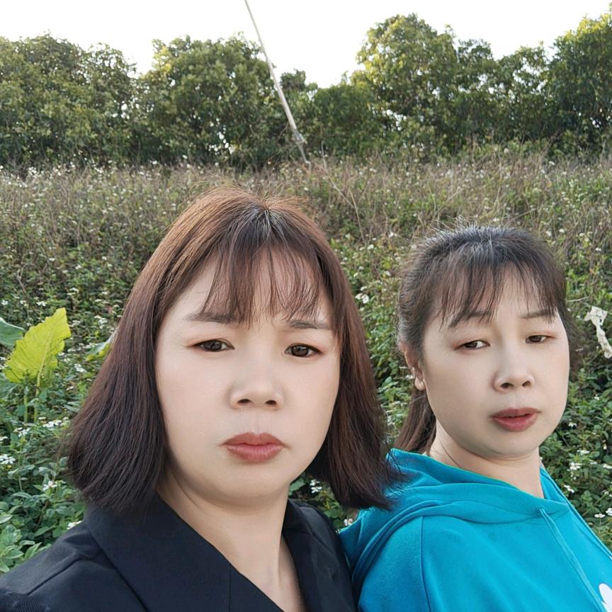 情琪