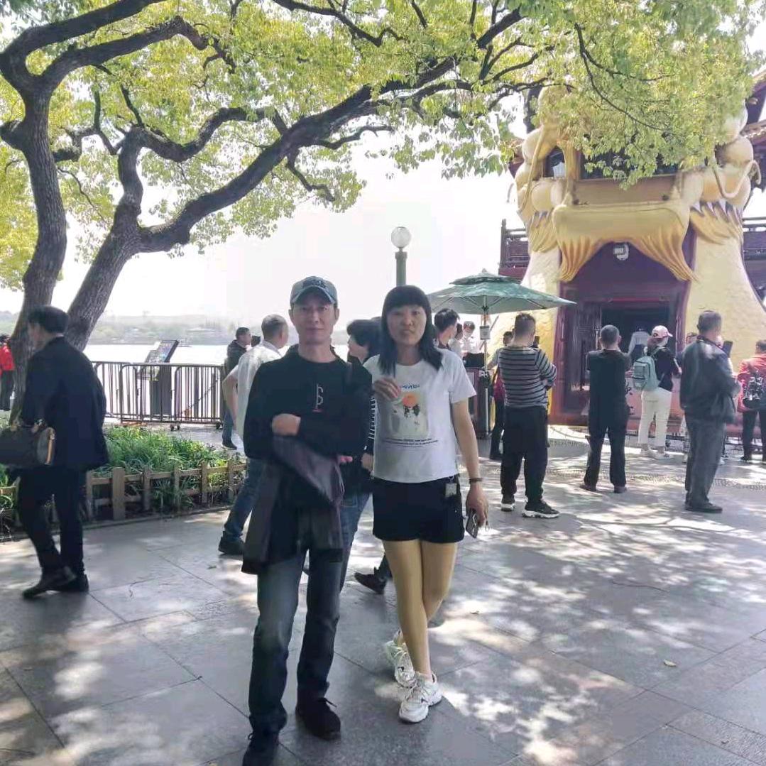 王子归来