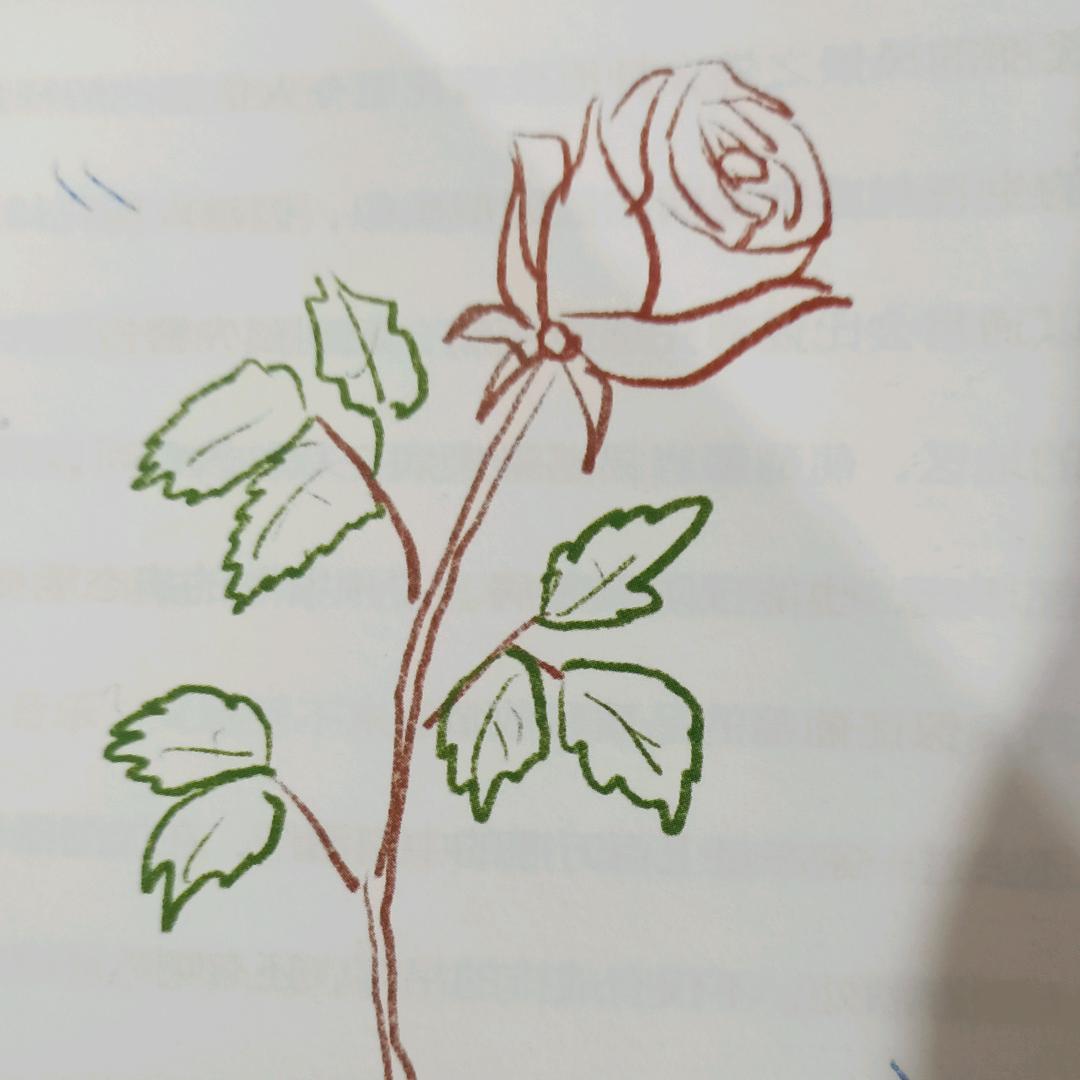 嗜酒的鱼子酱
