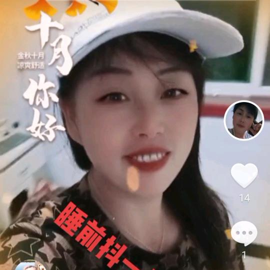 冰心百合
