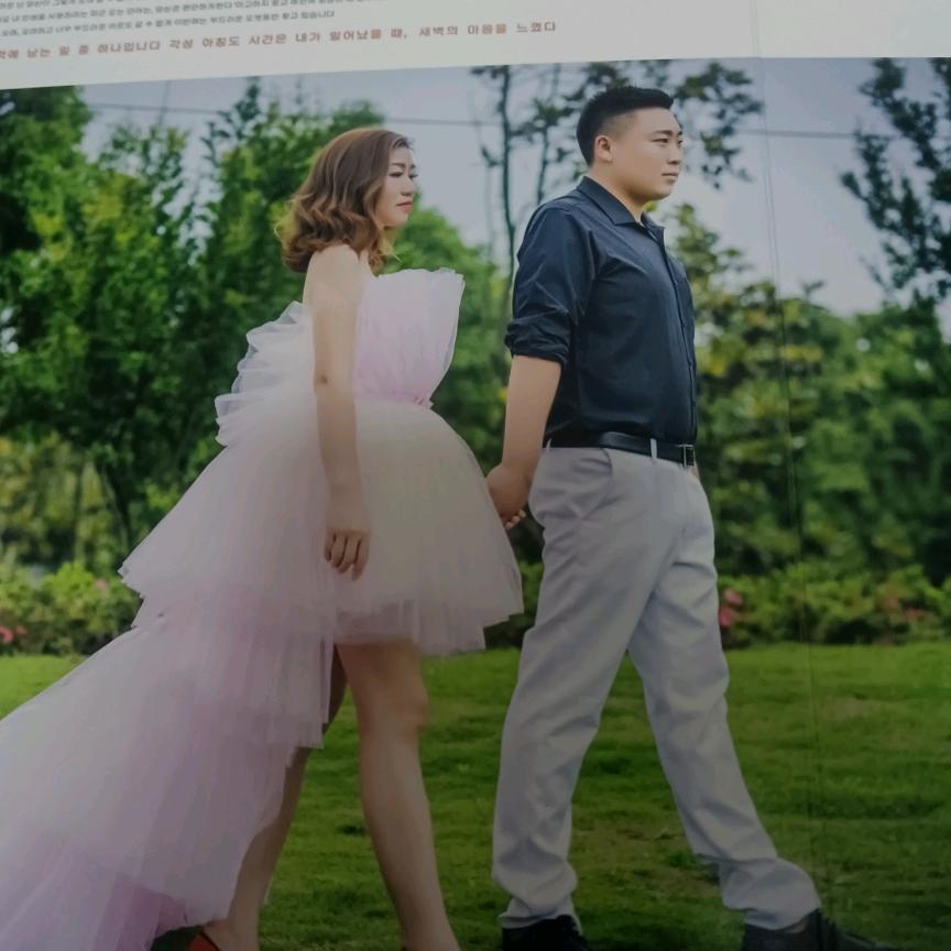 专业的兽医服务