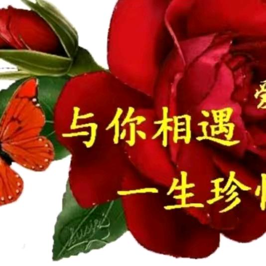 ❤️♥相守一生一世❤️❤️