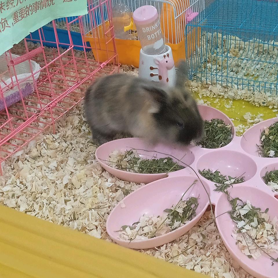 一生平安