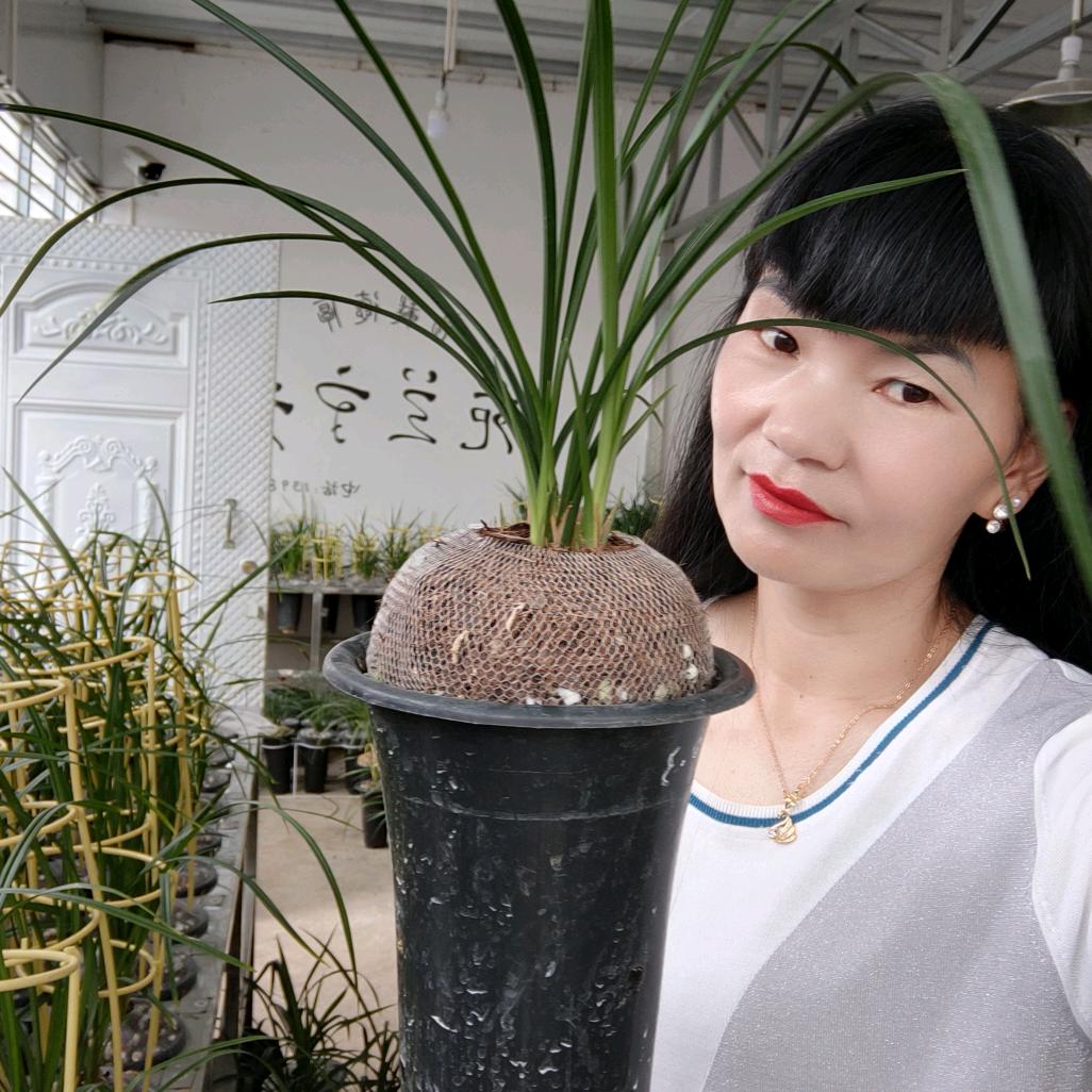 鹤庆县老宇兰苑