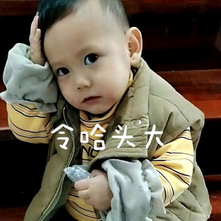 感，恩，的，心