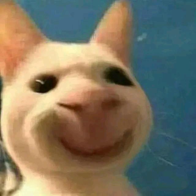 猫子.