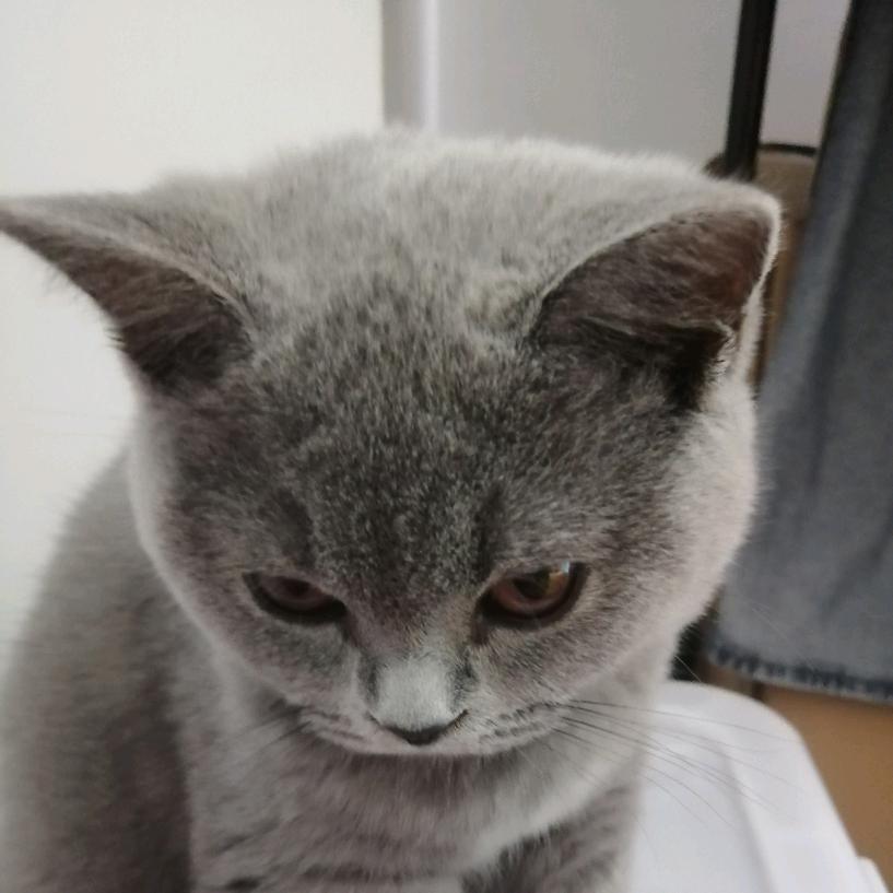 泡芺和肉丝😘😘😘