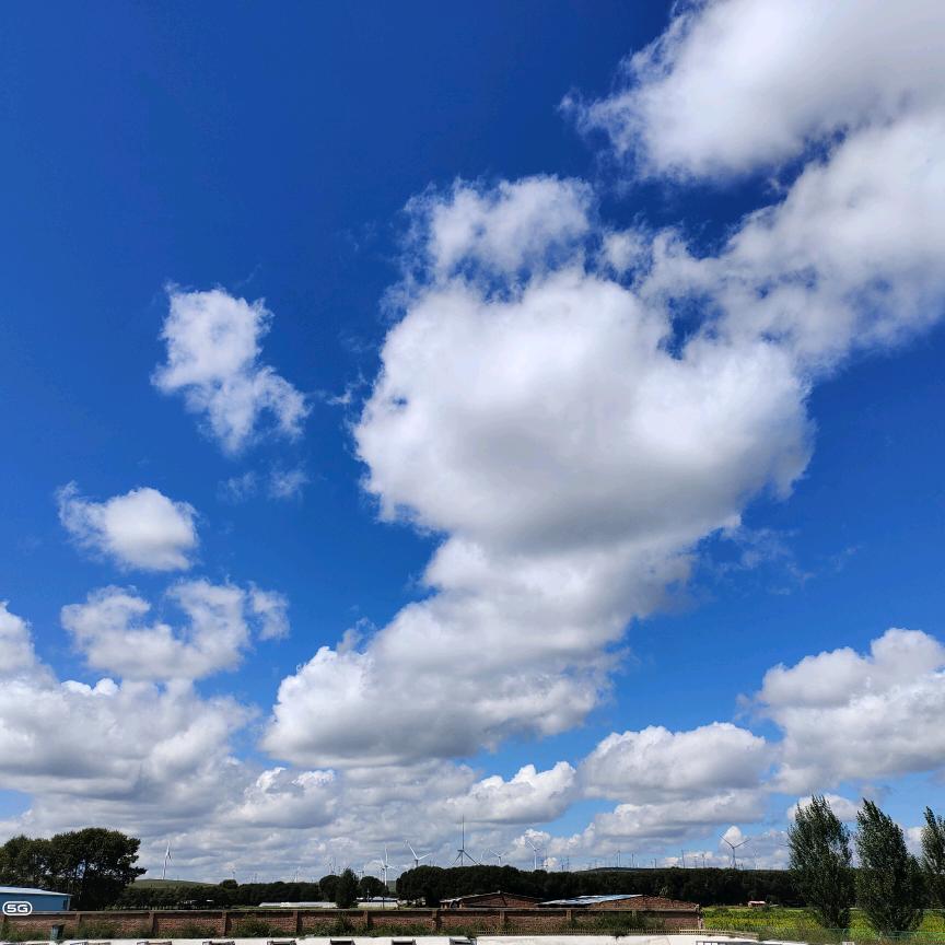 我和我追逐的梦