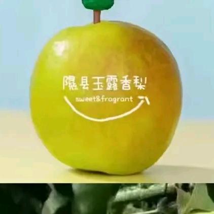 稻香